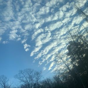 Meet your Posher, Maryanne